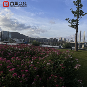 美女扒开内裤露黑毛无遮挡
